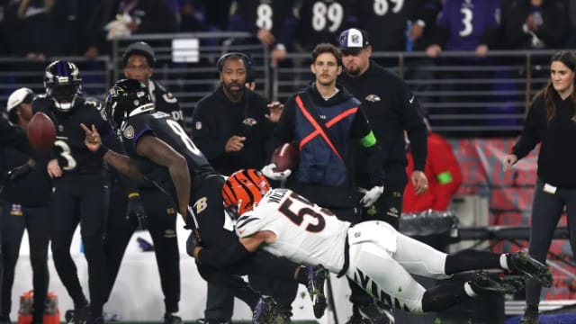 bengals lamar 